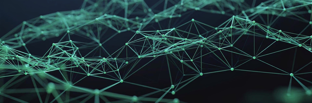 Alternative Payment Gateway<br>Bio Connect